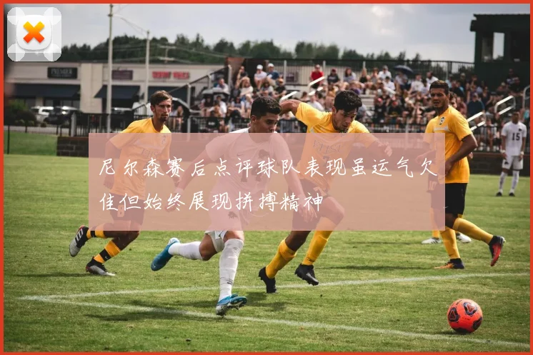 尼尔森赛后点评球队表现虽运气欠佳但始终展现拼搏精神
