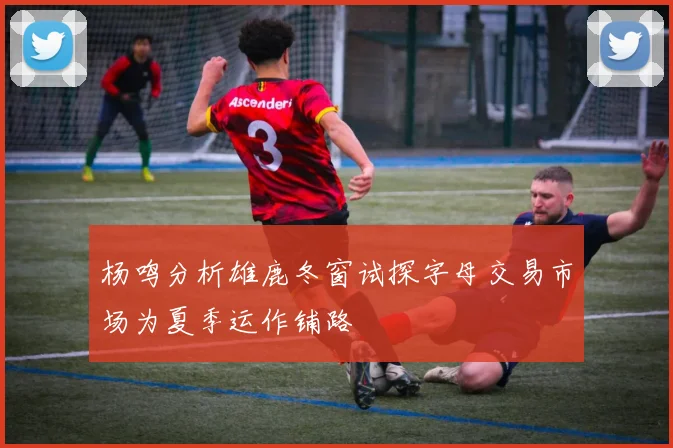 杨鸣分析雄鹿冬窗试探字母交易市场为夏季运作铺路