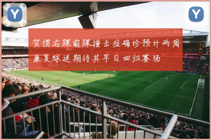贺惯右踝前踝撞击症确诊预计两周康复球迷期待其早日回归赛场